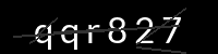 PHP Captcha für Piwigo