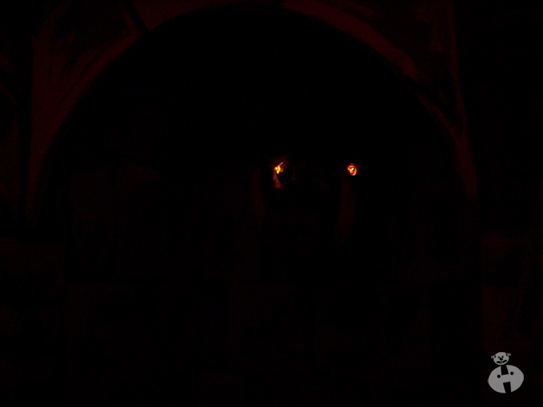100_0998.jpg