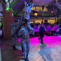IMG 5515
