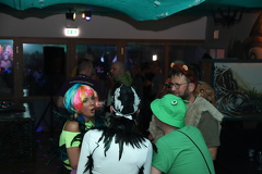 IMG 3711