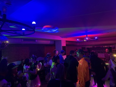 IMG 3508